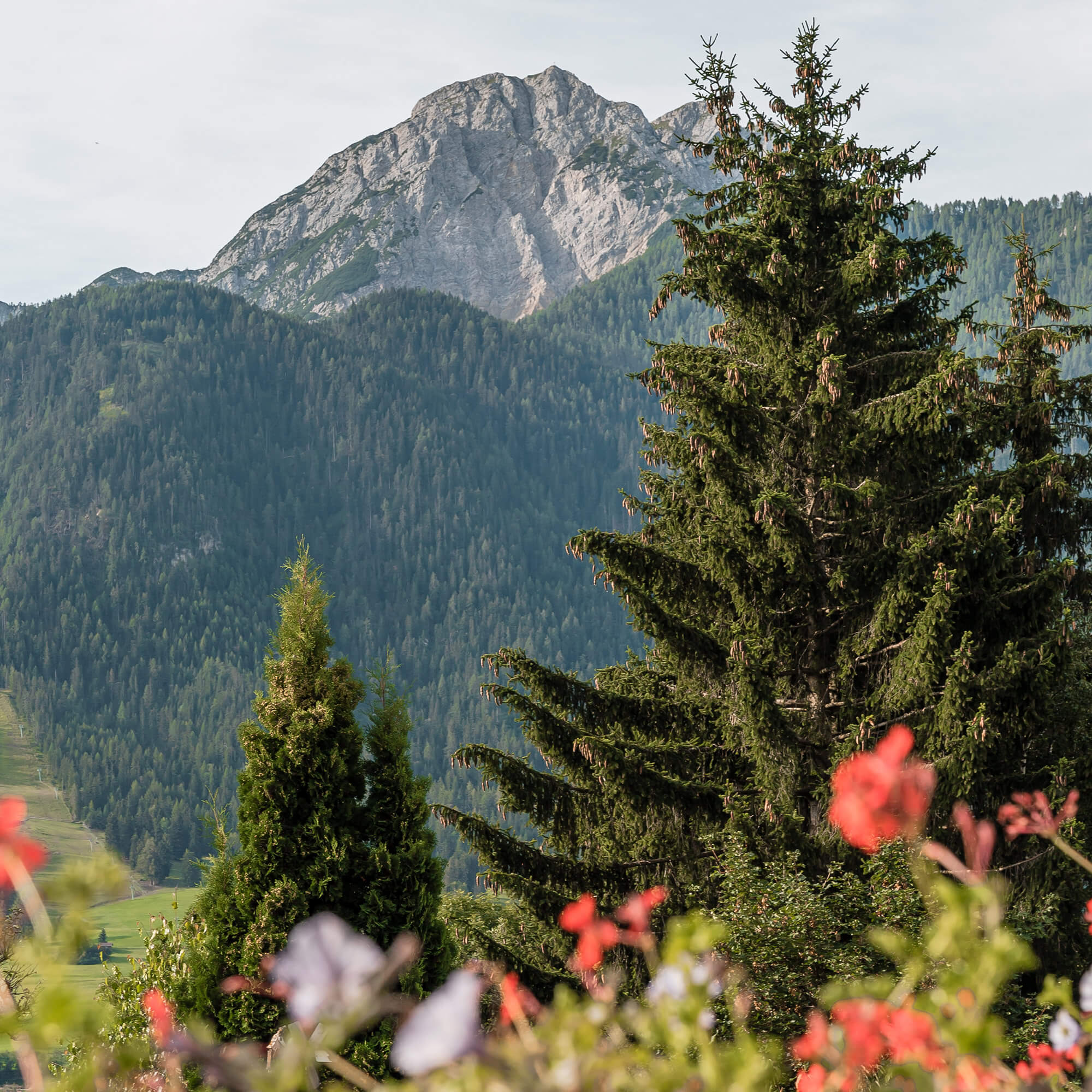 Boxen - Vista panoramica Quadrat