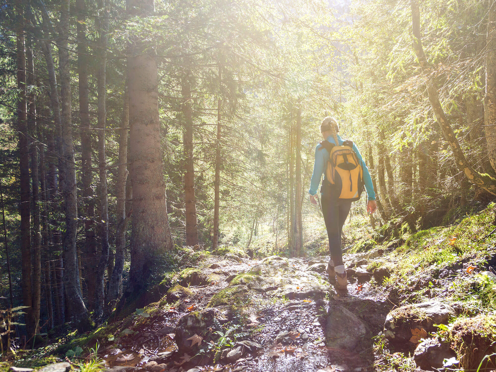 Hiking tour to the Malga San Silvestro