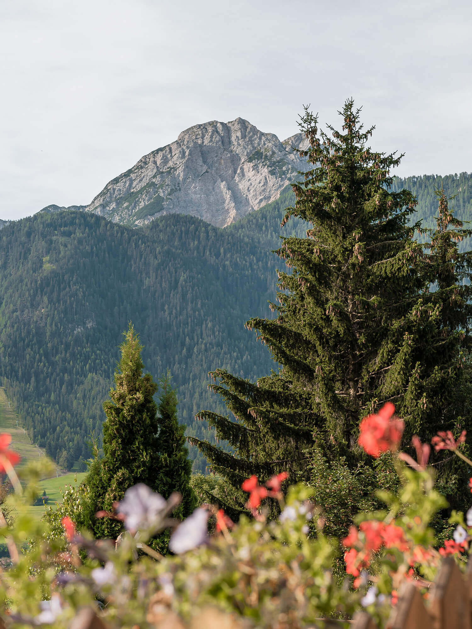 Frühstück - auf den Berg