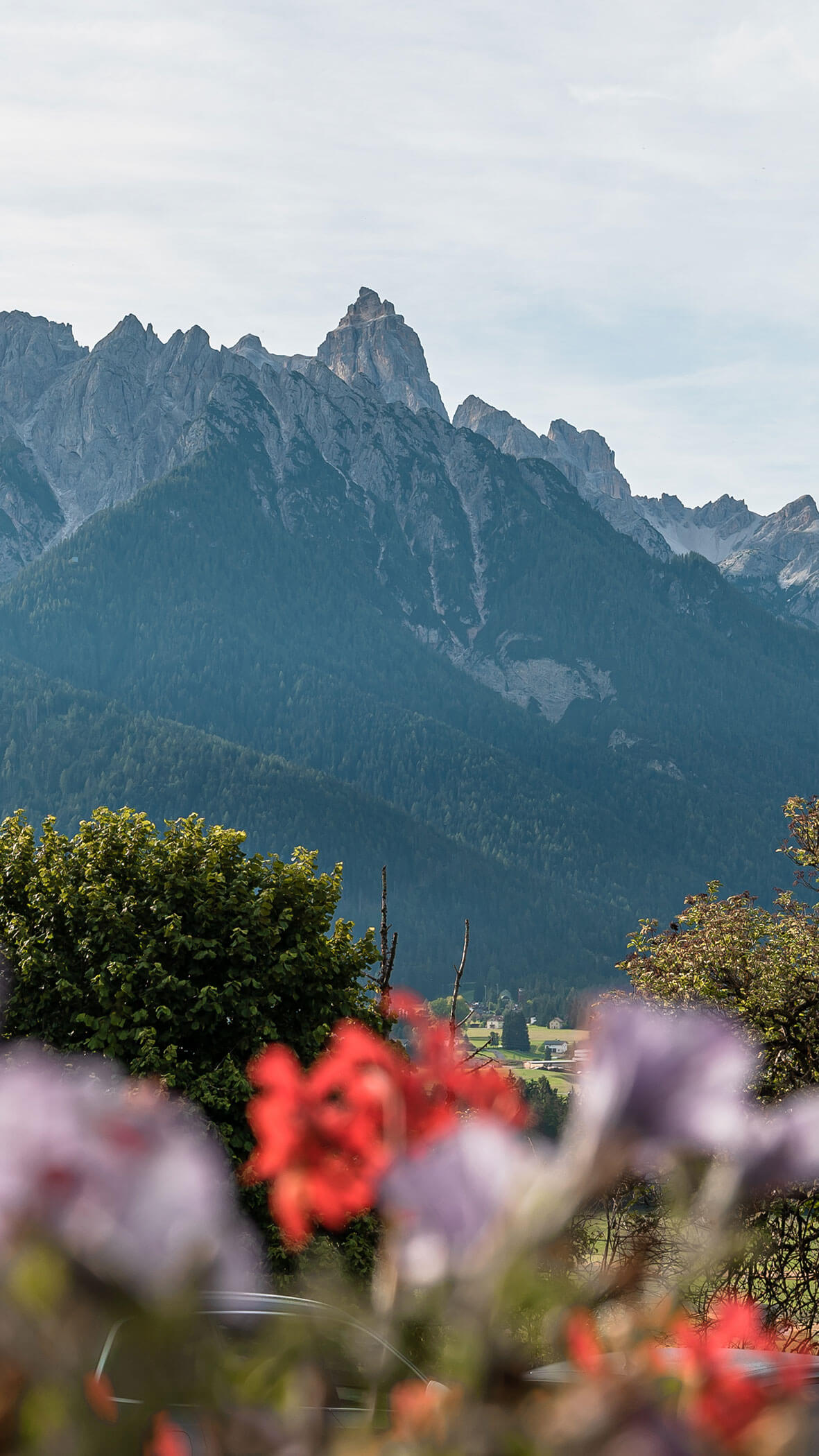 Hotel Kirchenwirt - Fiori e montagne